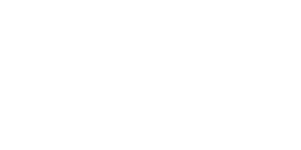 FlovoAI